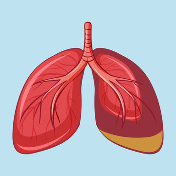 Preventing Asbestos Exposure During Work: Tips for Employers