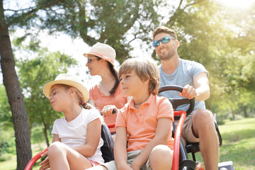 Family having a kart ride at the park