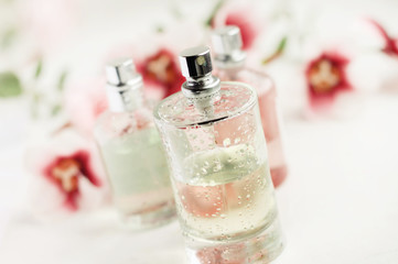 Spray bottle of floral feminine perfume closeup, soft light and focus, fresh drops on glass,...