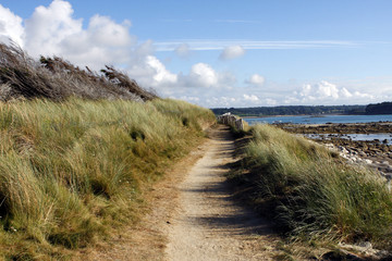 Fototapeta premium Paysage de Bretagne