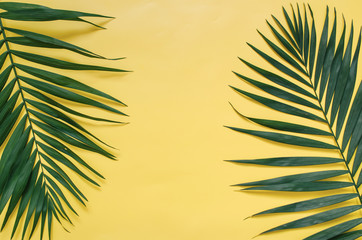 Tropical palm leaves border frame isolated on pastel yellow background isolated