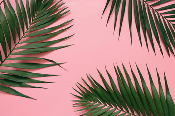 Naklejka na ściany i meble Tropical palm leaves on pastel pink background