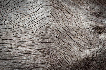 Texture of old wooden natural background