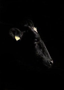 Wagyu 3