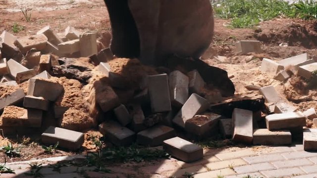 excavator bucket works.close-up