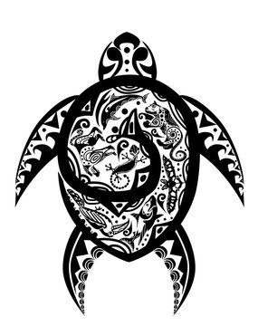 Maya turtle