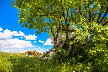 landscapes in the spring