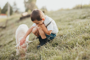 little boy playing with a lamb in a field 