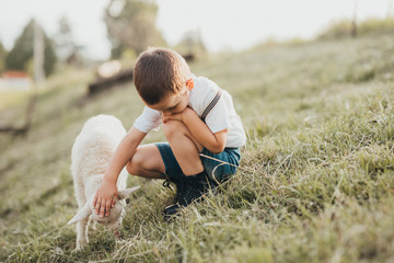 little boy playing with a lamb in a field  © Lumistudio