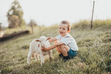 little boy playing with a lamb in a field 