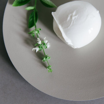 Mozzarella di buffalo served on a neutral plate with blooming basil.