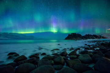 Amazing Aurora Borealis dancing over famous Uttakleiv Beach during a cold arctic night on Lofoten...
