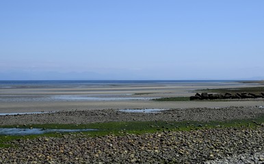 beach landscape at Miracle Beach during low tide, near Oyster River; Vancouver Island British Columbia Canada 