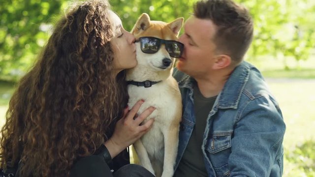 Happy people loving pet owners are fussing dog in sunglasses then kissing it and taking glasses off dog's eyes while having fun in park on sunny day.