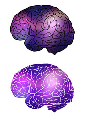 Set of human brain with cosmic background. Cosmos and nebulae.  Inspiration.  Vector element for your design 