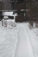 A walking path cleared of snow, showing the depth and amount that had fallen the night before