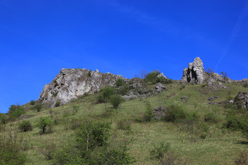 Ehrenbürg Gestein und der Walberla Felsen, die steinerne Frau, bei Kirchehrenbach, Landkreis Forchheim, Oberfranken, Bayern, Deutschland