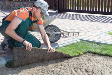 Landscape Gardener Laying Turf For New Lawn