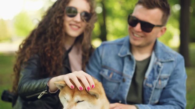 Young people pretty girl and her boyfriend are patting beautiful dog, laughing and talking resting in the park sitting on grass. Focus shifts from people to animal.