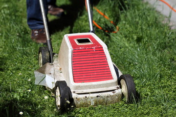 Rasen mähen mit Elektromäher