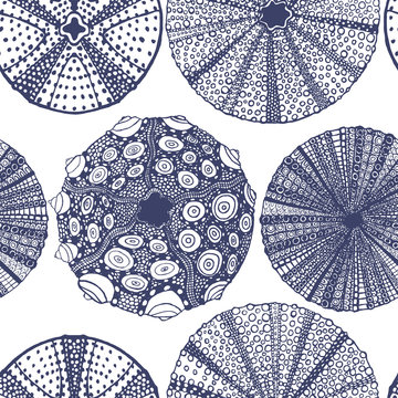 Urchin Pattern in Hand-Drawn Style