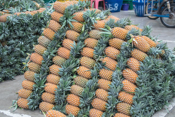 Pineapple background in the  local market in Thailand for sale.fresh pineapple from farm to the customer.