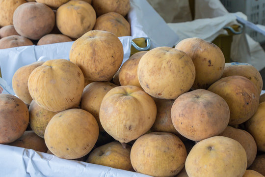 Sandoricum koetjape (santol or cottonfruit) is a tropical fruit grown in Southeast Asia.Common names- Sentieh, sentol, setol, setul, setui, kechapi or ketapi, in Malaya; katon or ka-thon in Thailand.