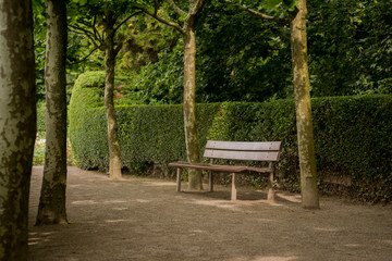 bench in park surrounded by trees and a hedge