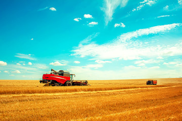 harvester and truck in the field