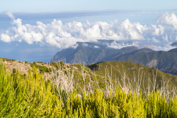 Mountain landscape on Madeira, Portugal