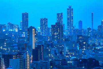 Fototapeta premium 東京都市部の夜景