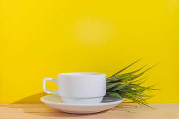 A cup of coffee and artificial green plant over yellow background.