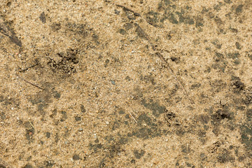 ground floor Soil outdoor texture and background