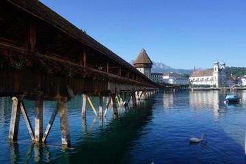 Obraz premium wooden bridge and flowers at a lake in Switzerland