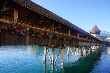 wooden bridge and flowers at a lake in Switzerland