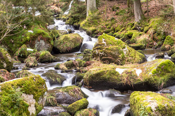Smoky Mountains Waterfall Creek