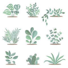 Vector set of cute plants. Adorable objects on background, pastel colors