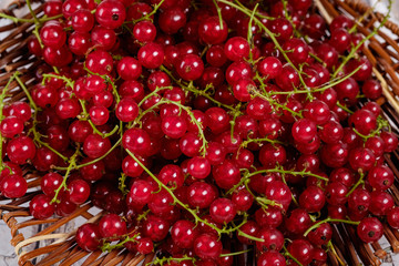 Background of red currant, top view.