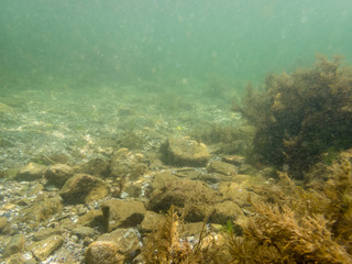 Undersea