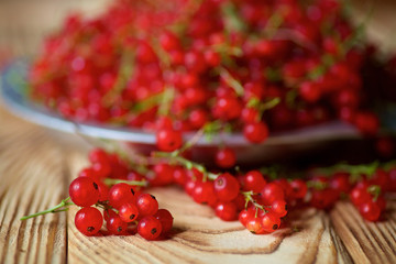 Red juicy currant lies on a wooden table and in plate.