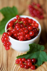 A white Cup is red currants and leaves.