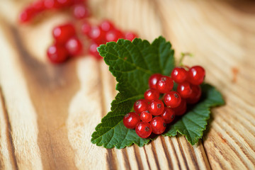 The berries of the red currant and its leaf.