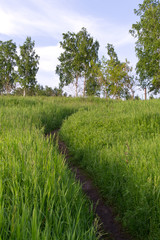 Тропа на холм