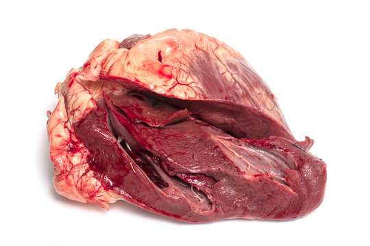 heart raw meat on white background