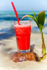 Melon juice on a sea beach. Glasses with red drink and straw stands on a fallen coconut. Exotic fruit refreshment beverage on a tropical vacation.