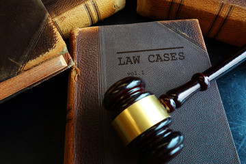 Law Cases gavel