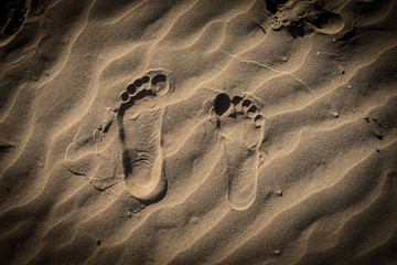 Fototapeta na wymiar Impronte sulla sabbia