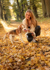 Young beautiful blonde walking with dog in the autumn park.
