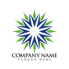 Abstract star, sun, light logo design template vector illustration