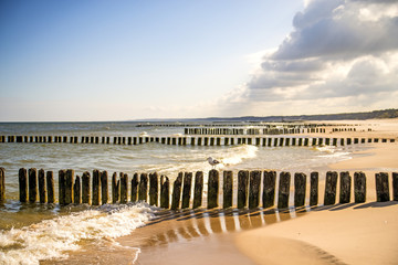 beach of Baltic Sea, Poland with groins - obrazy, fototapety, plakaty